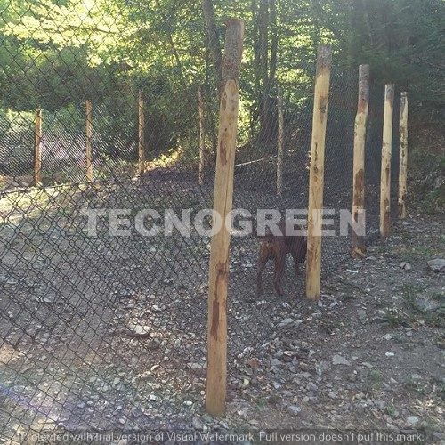 Siena - Recinti per cani